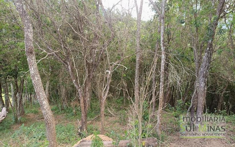 Terreno Rural com Vista 360° para as Montanhas À Venda em Cambuí – MG COD2390 (17)