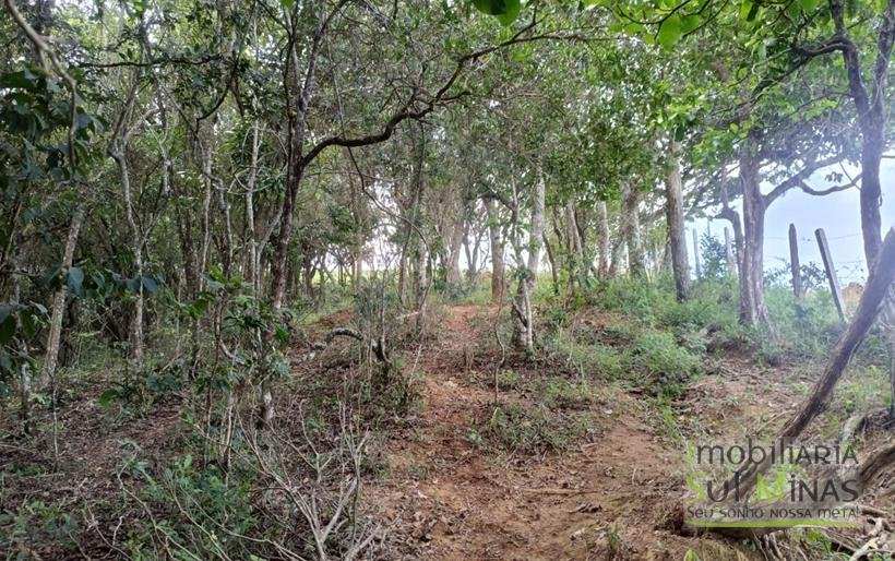 Terreno Rural com Vista 360° para as Montanhas À Venda em Cambuí – MG COD2390 (2)