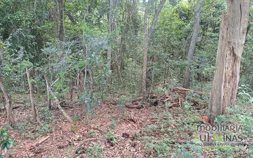 Terreno Rural com Vista 360° para as Montanhas À Venda em Cambuí – MG COD2390 (3)