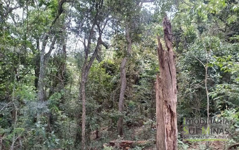 Terreno Rural com Vista 360° para as Montanhas À Venda em Cambuí – MG COD2390 (4)