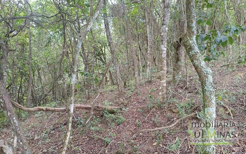 Terreno Rural com Vista 360° para as Montanhas À Venda em Cambuí – MG COD2390 (6)