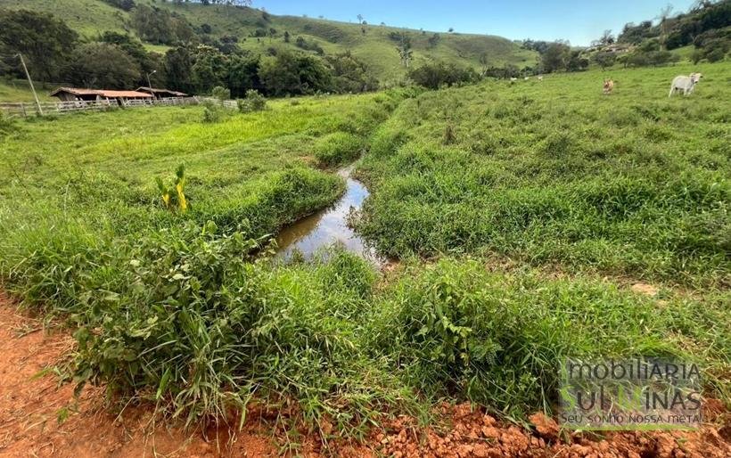 Terreno Rural de 20 Alqueires Com Casa À Venda em Cambuí MG COD2387 (11)