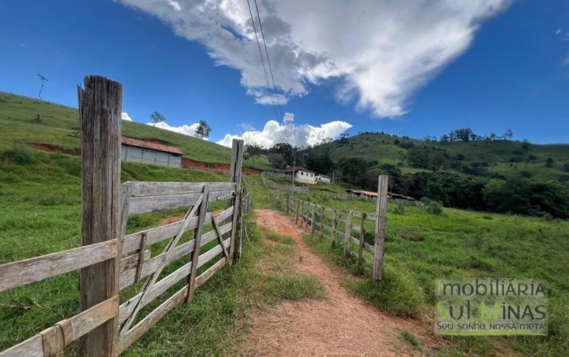 Terreno Rural de 20 Alqueires Com Casa À Venda em Cambuí MG COD2387 (16)