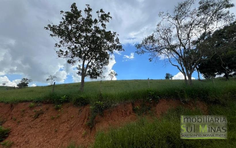 Terreno Rural de 20 Alqueires Com Casa À Venda em Cambuí MG COD2387 (18)