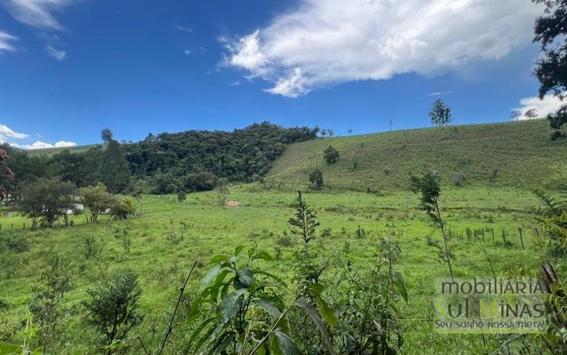 Terreno Rural de 20 Alqueires Com Casa À Venda em Cambuí MG COD2387 (7)
