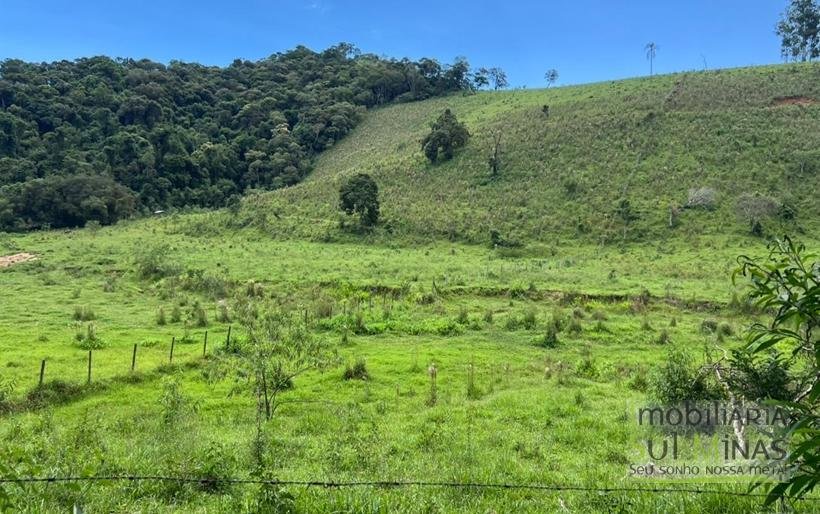 Terreno Rural de 20 Alqueires Com Casa À Venda em Cambuí MG COD2387 (8)