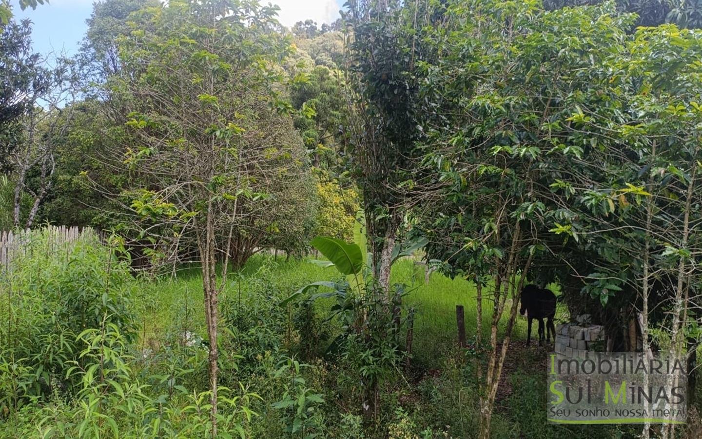 Chácara Com 5.350m² À Venda em Córrego do Bom Jesus cod2426 (1)