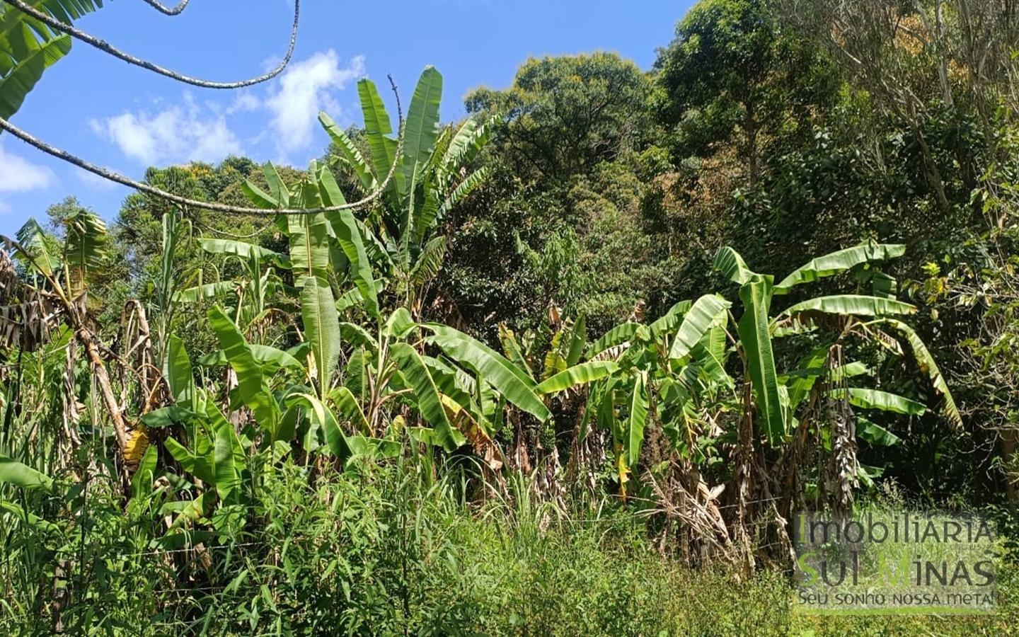 Chácara Com 5.350m² À Venda em Córrego do Bom Jesus cod2426 (35)