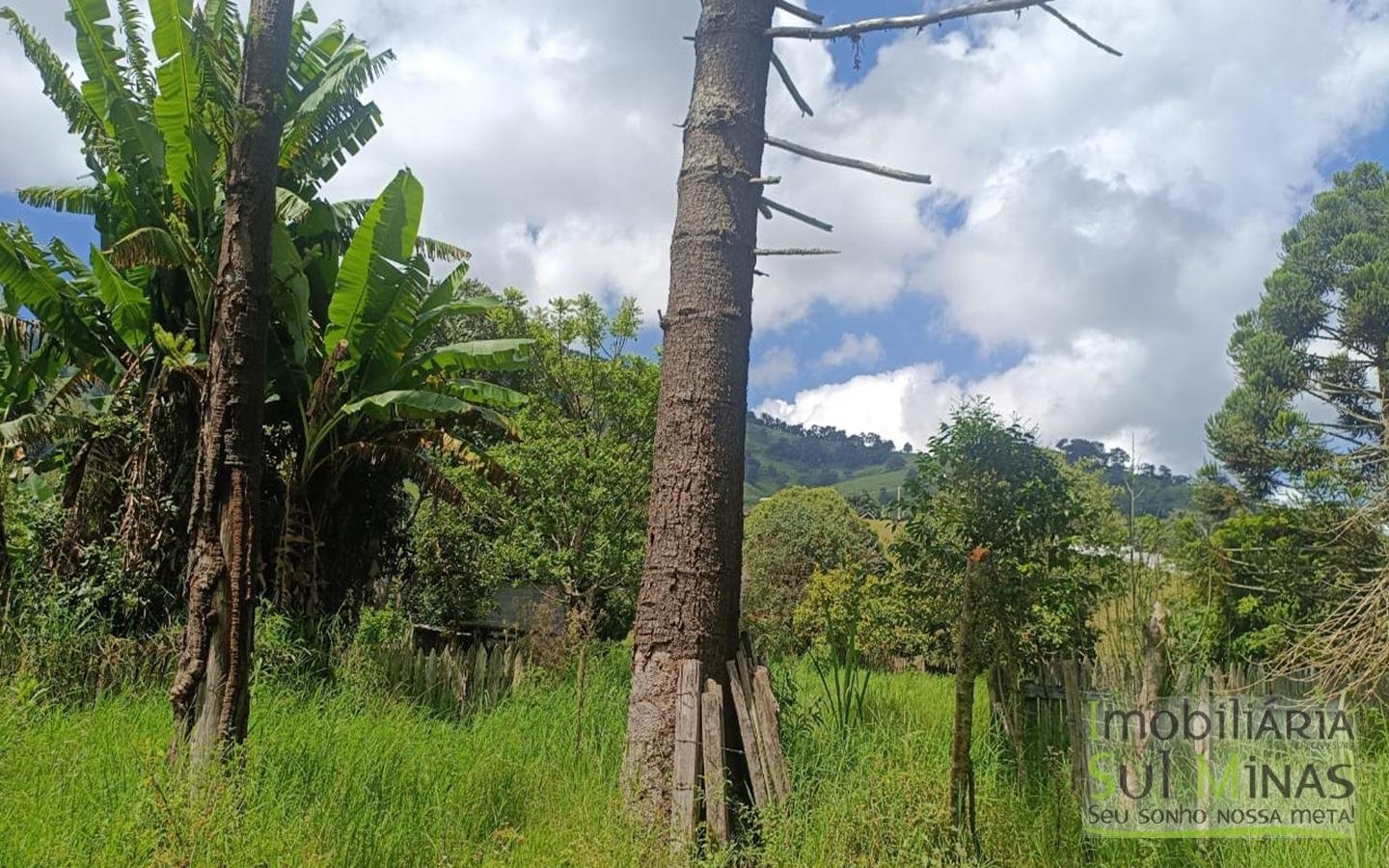 Chácara Com 5.350m² À Venda em Córrego do Bom Jesus cod2426 (36)