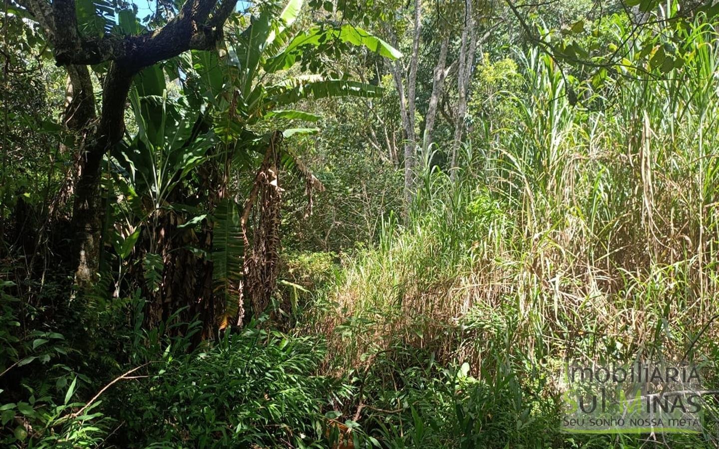 Chácara Com 5.350m² À Venda em Córrego do Bom Jesus cod2426 (37)