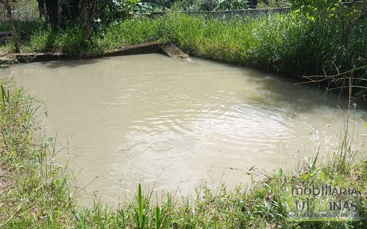 Chácara Com 5.350m² À Venda em Córrego do Bom Jesus cod2426 (42)