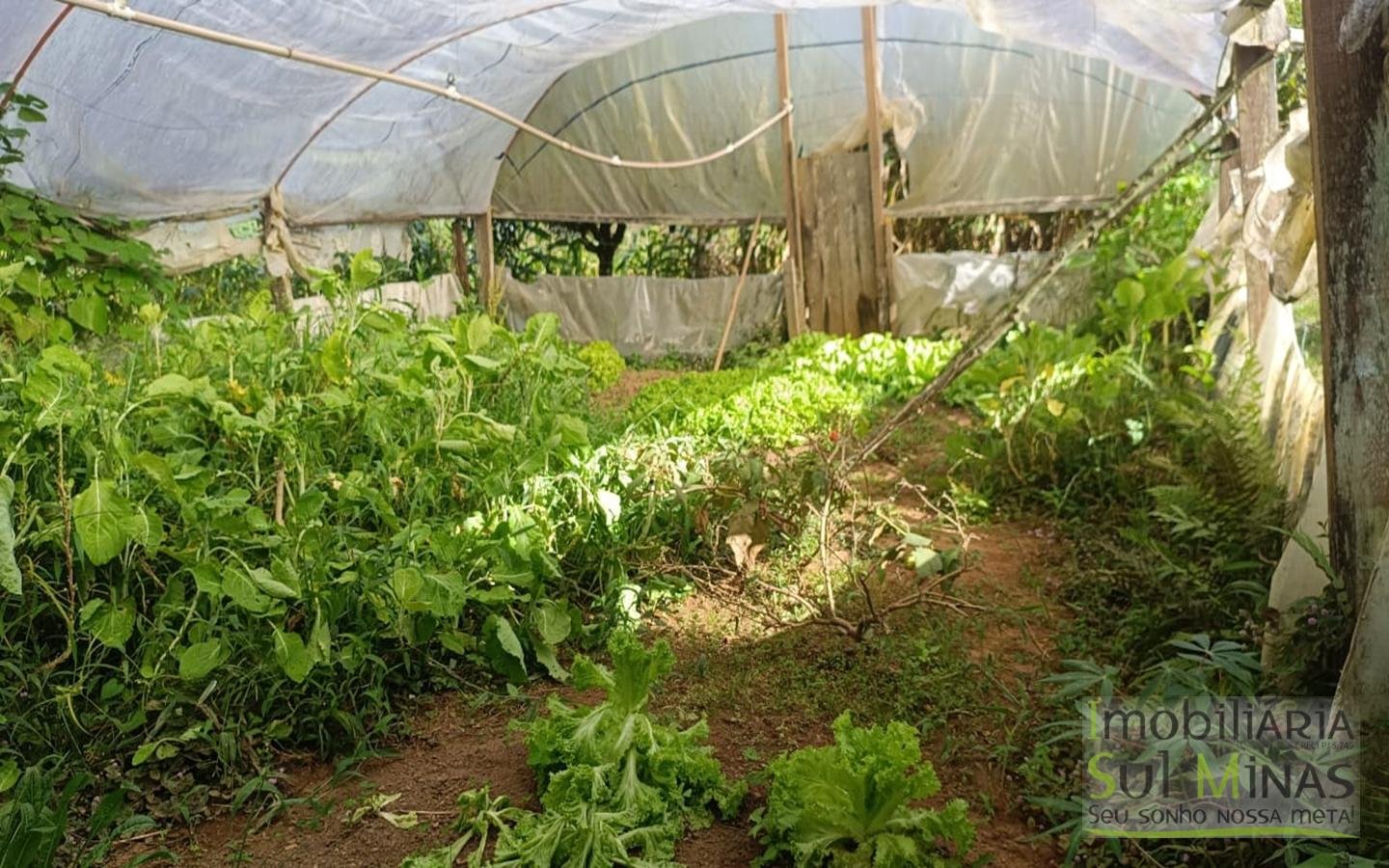 Chácara Completa em Munhoz – Porteira Fechada cod2425 (1)