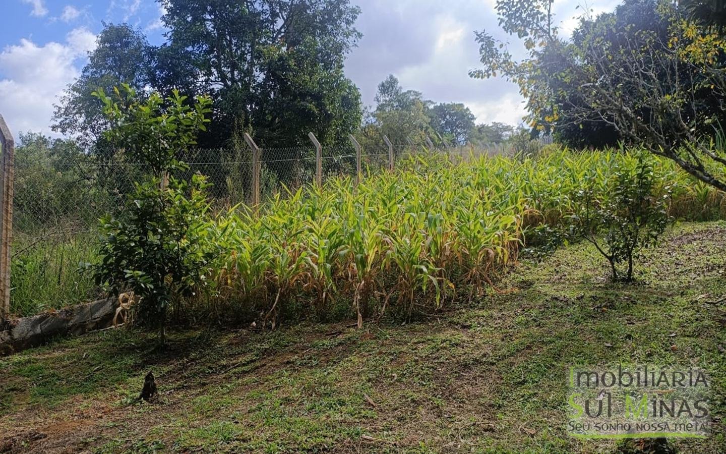 Chácara Completa em Munhoz – Porteira Fechada cod2425 (12)