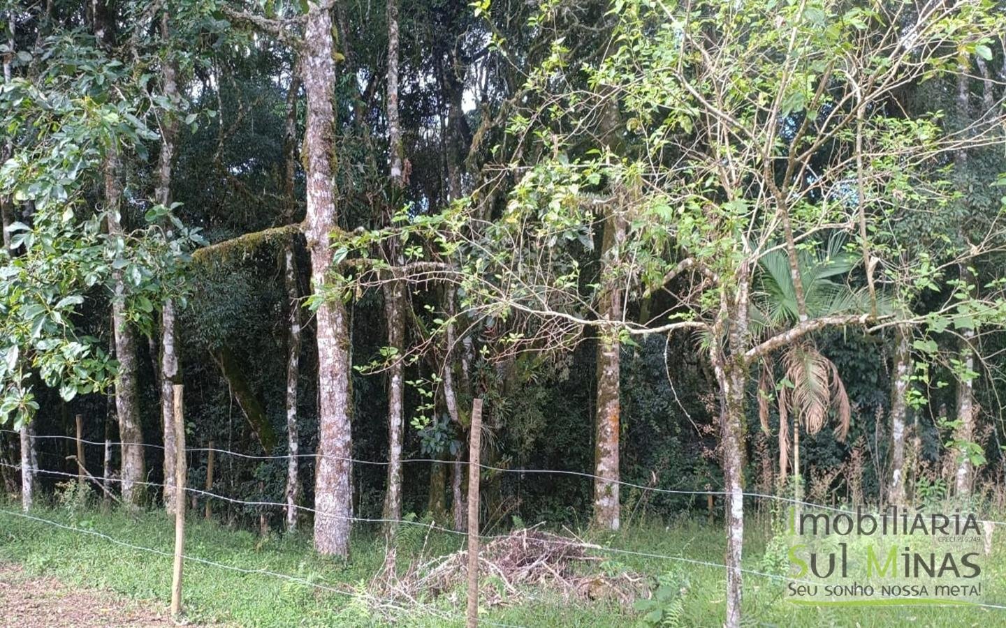 Chácara Completa em Munhoz – Porteira Fechada cod2425 (13)