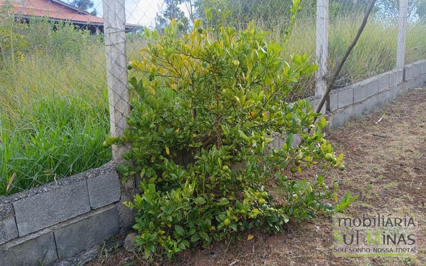 Chácara Completa em Munhoz – Porteira Fechada cod2425 (27)