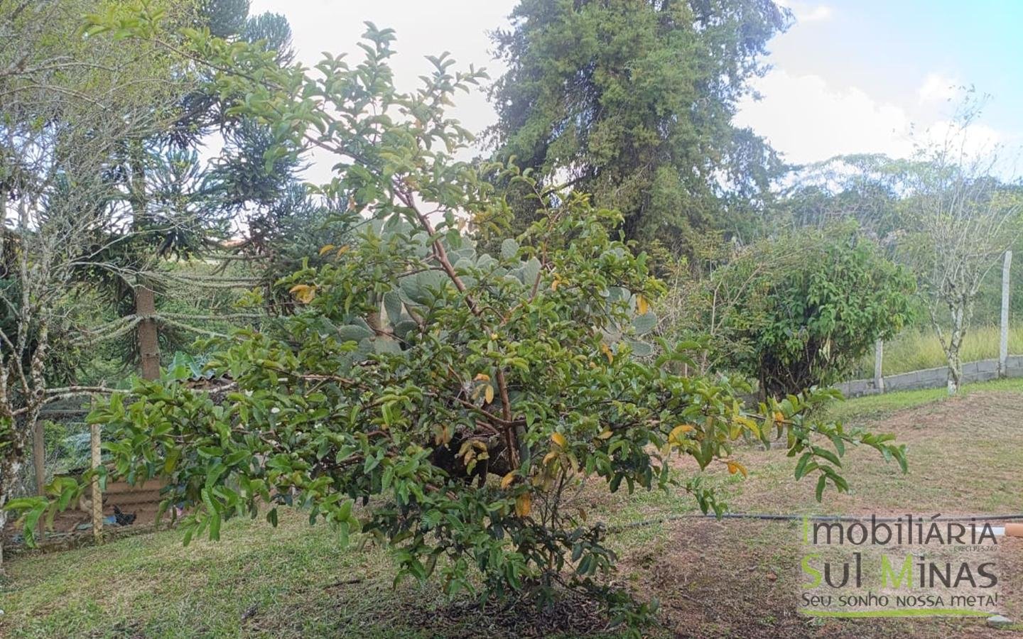 Chácara Completa em Munhoz – Porteira Fechada cod2425 (28)