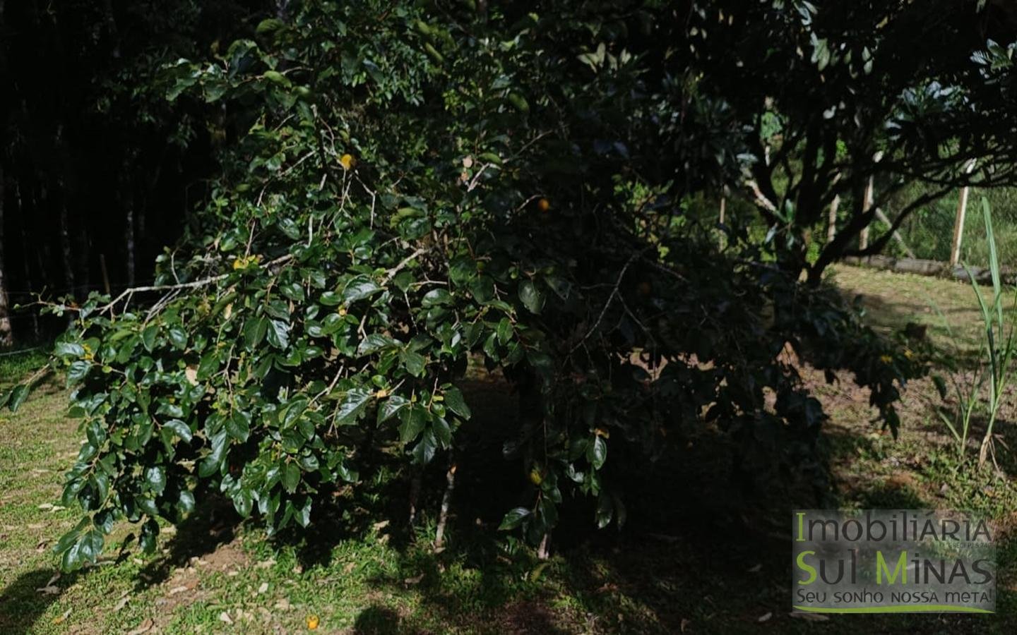 Chácara Completa em Munhoz – Porteira Fechada cod2425 (3)