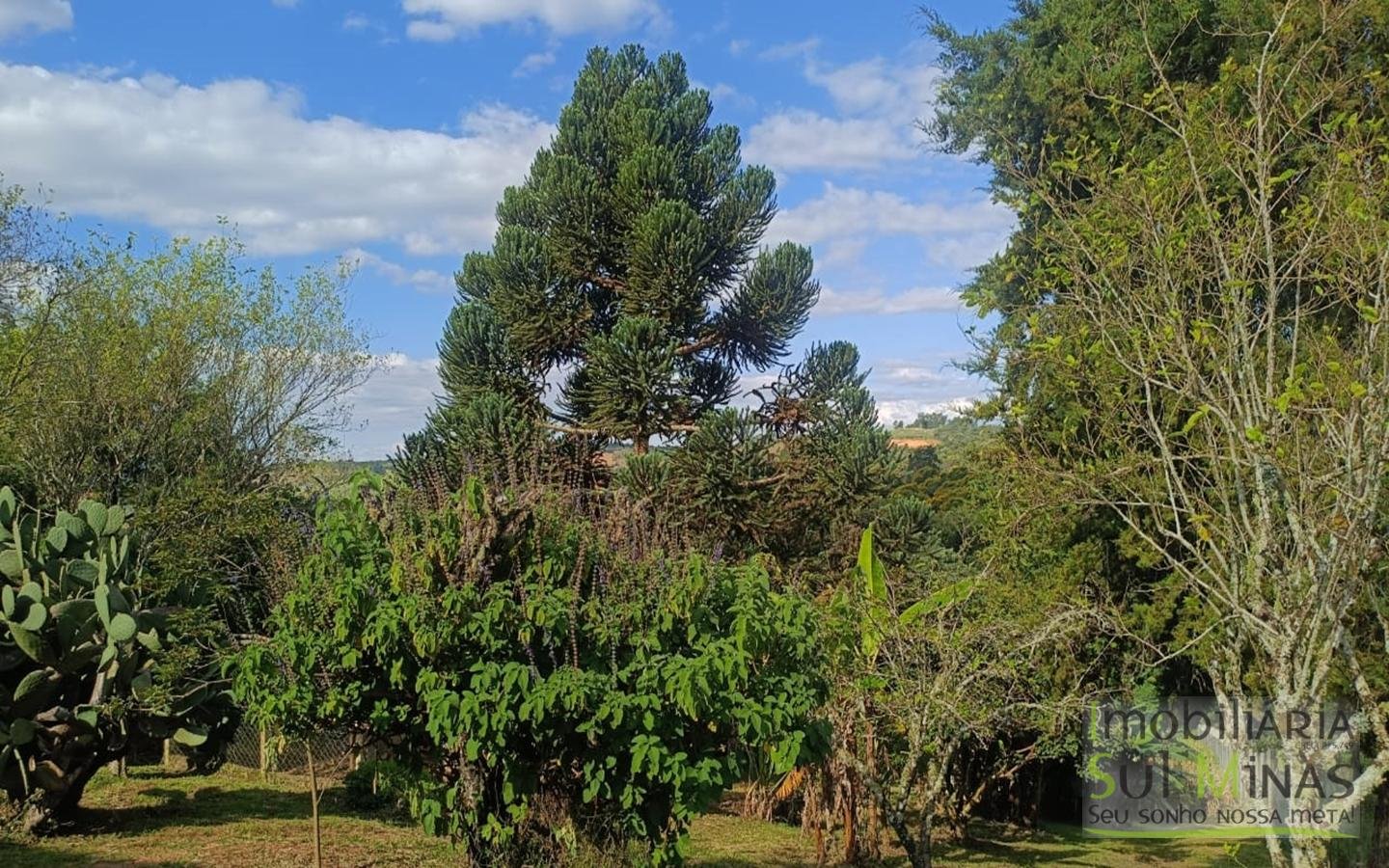 Chácara Completa em Munhoz – Porteira Fechada cod2425 (30)