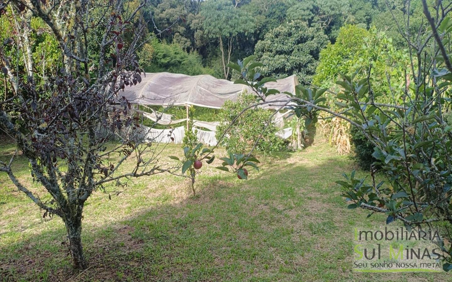 Chácara Completa em Munhoz – Porteira Fechada cod2425 (35)