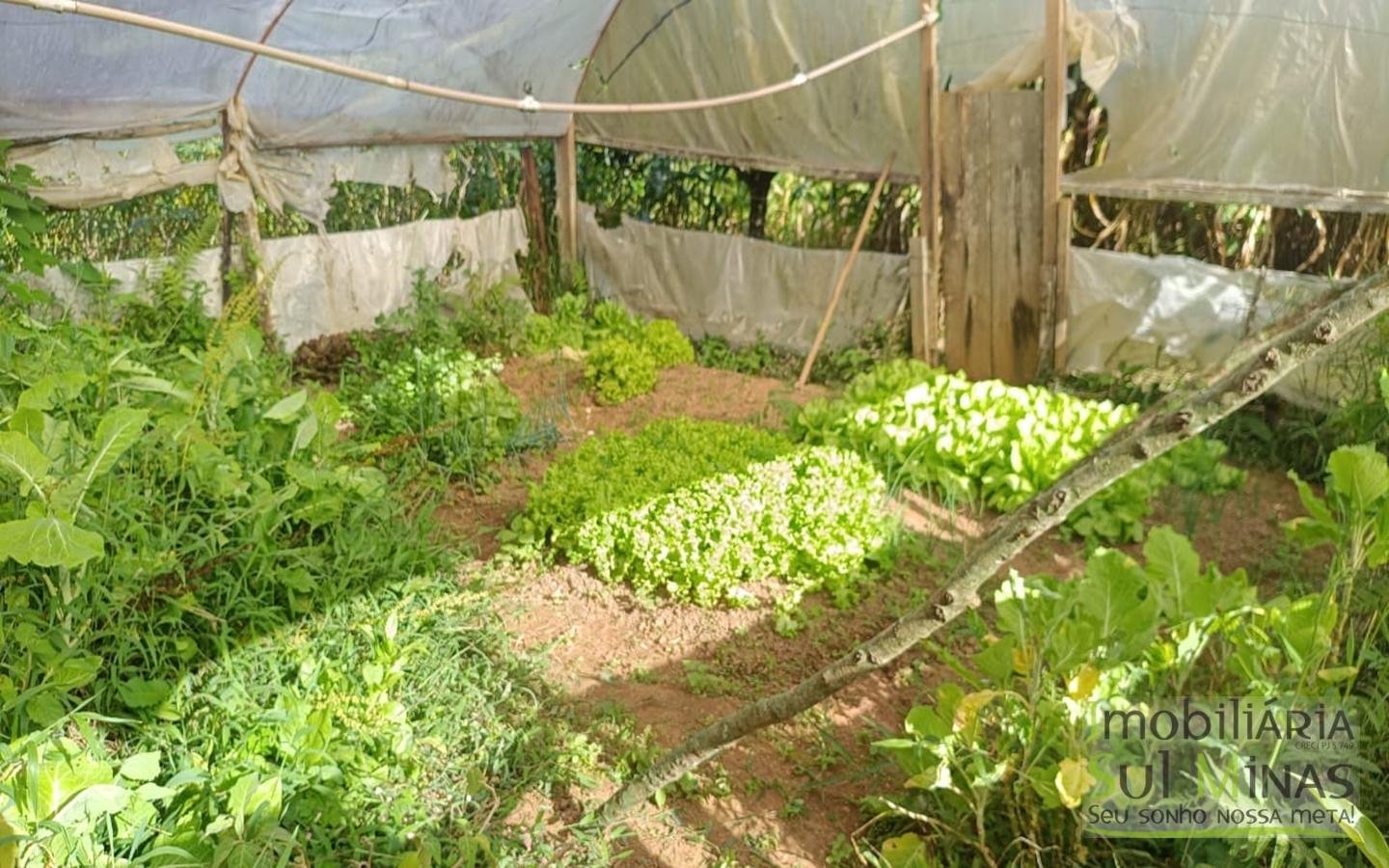 Chácara Completa em Munhoz – Porteira Fechada cod2425 (37)