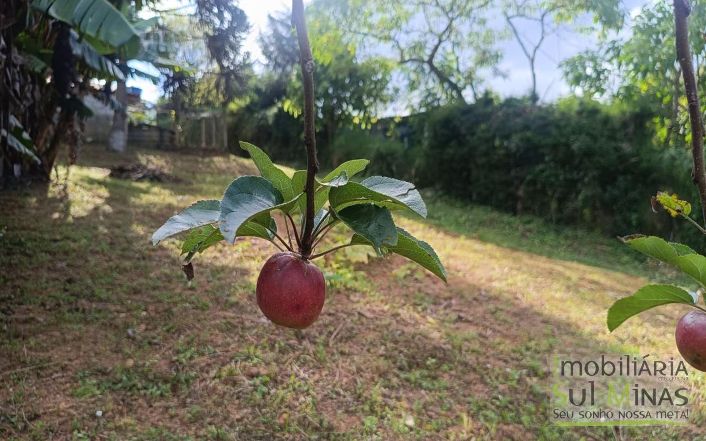 Chácara Completa em Munhoz – Porteira Fechada cod2425 (39)