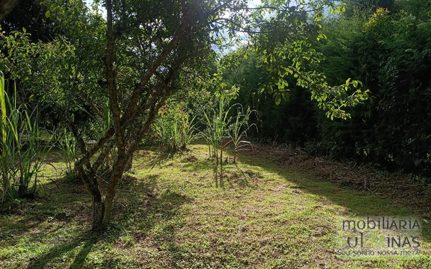 Chácara Completa em Munhoz – Porteira Fechada cod2425 (4)