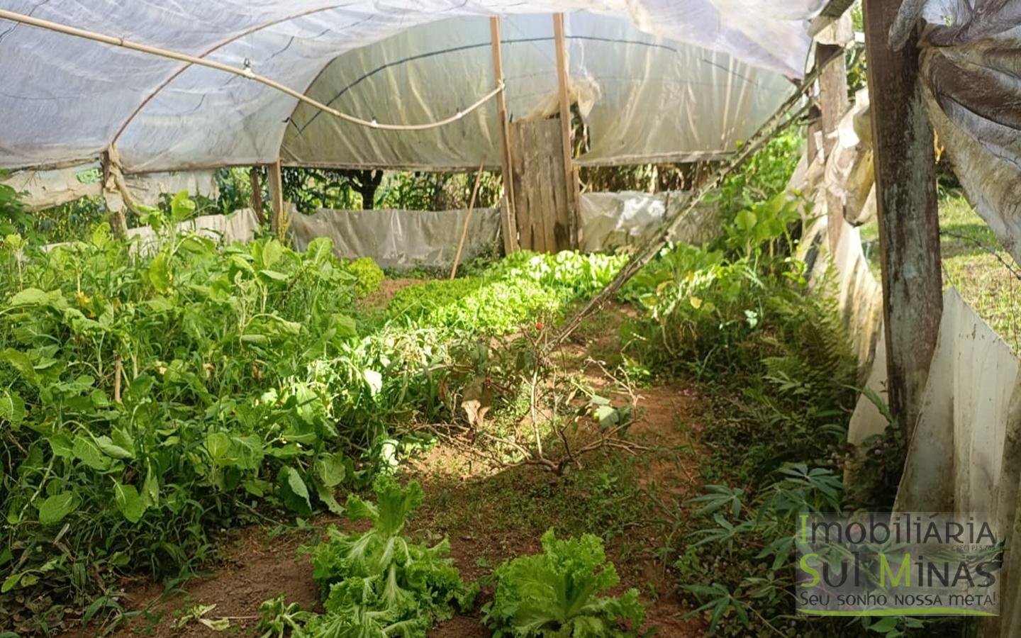 Chácara Completa em Munhoz – Porteira Fechada cod2425 (41)