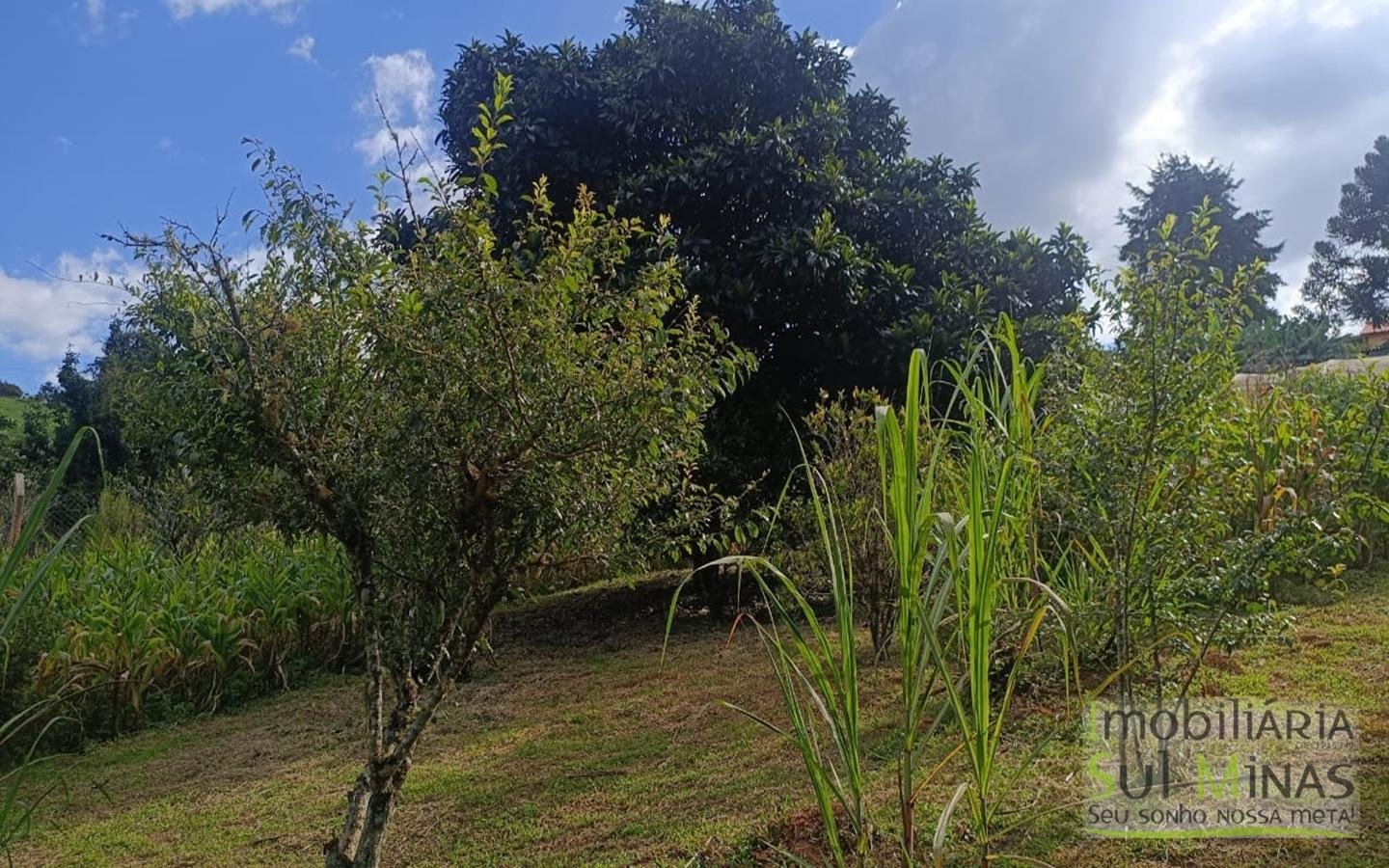 Chácara Completa em Munhoz – Porteira Fechada cod2425 (5)