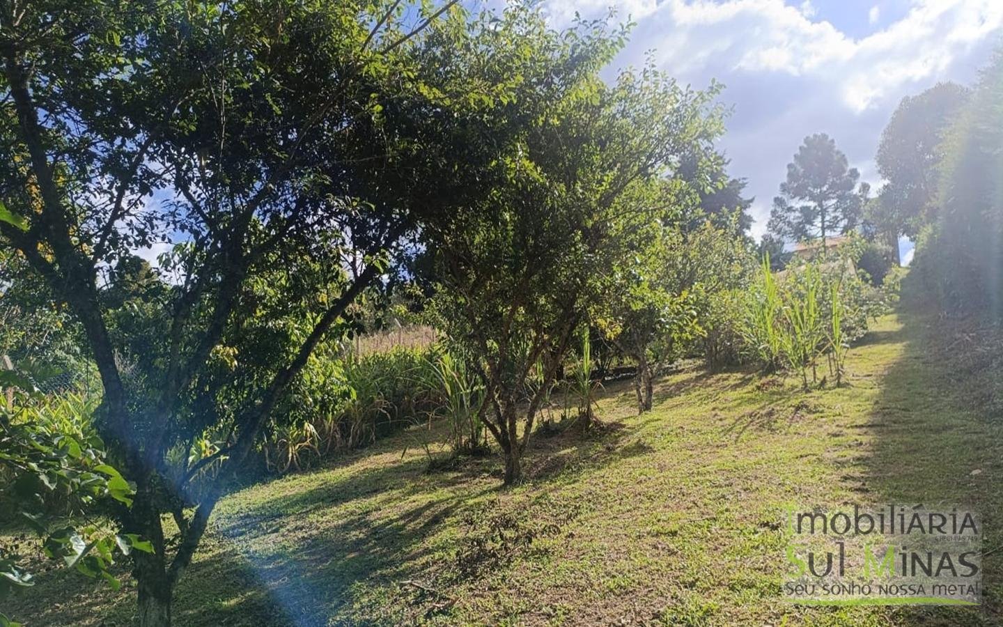 Chácara Completa em Munhoz – Porteira Fechada cod2425 (7)