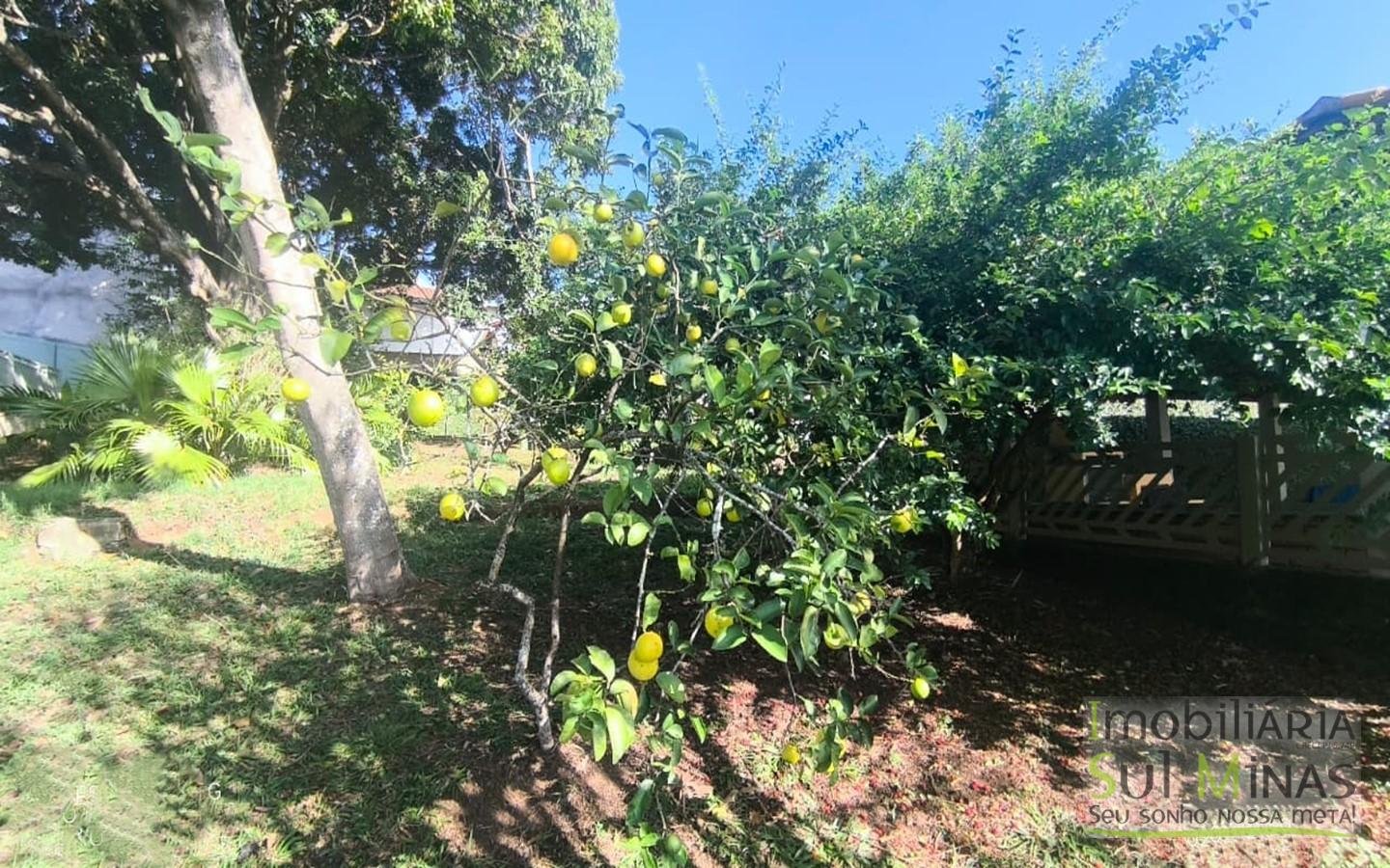 Chácara Urbana Exclusiva À Venda em Cambuí MG cod2429 (18)