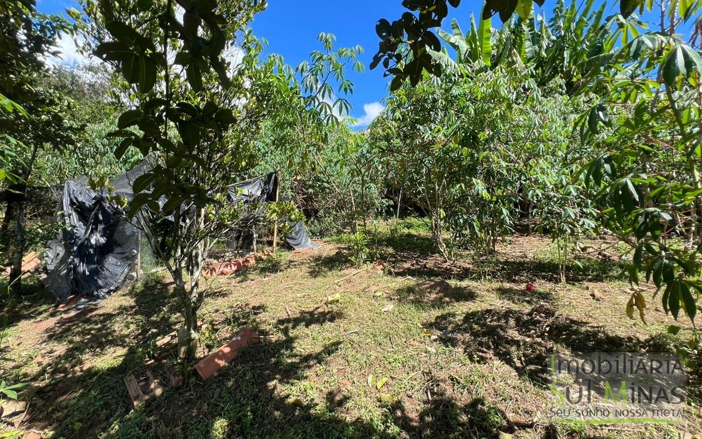 Chácara à Venda em Córrego do Bom Jesus 1.900 m² cod2419 (12)