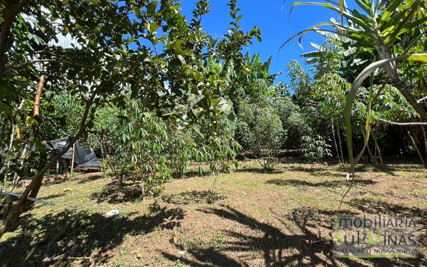 Chácara à Venda em Córrego do Bom Jesus 1.900 m² cod2419 (13)