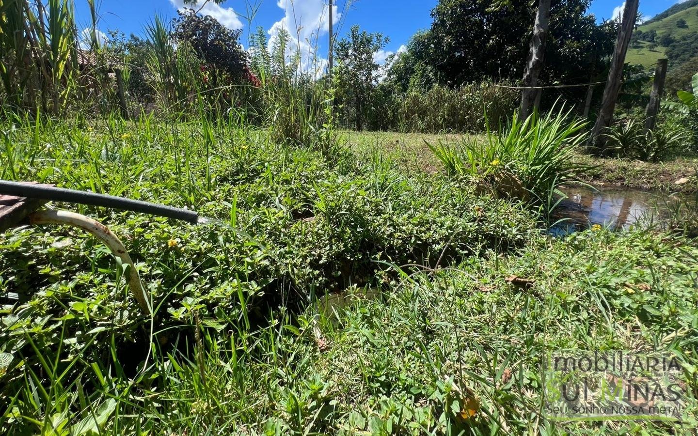 Chácara à Venda em Córrego do Bom Jesus 1.900 m² cod2419 (18)