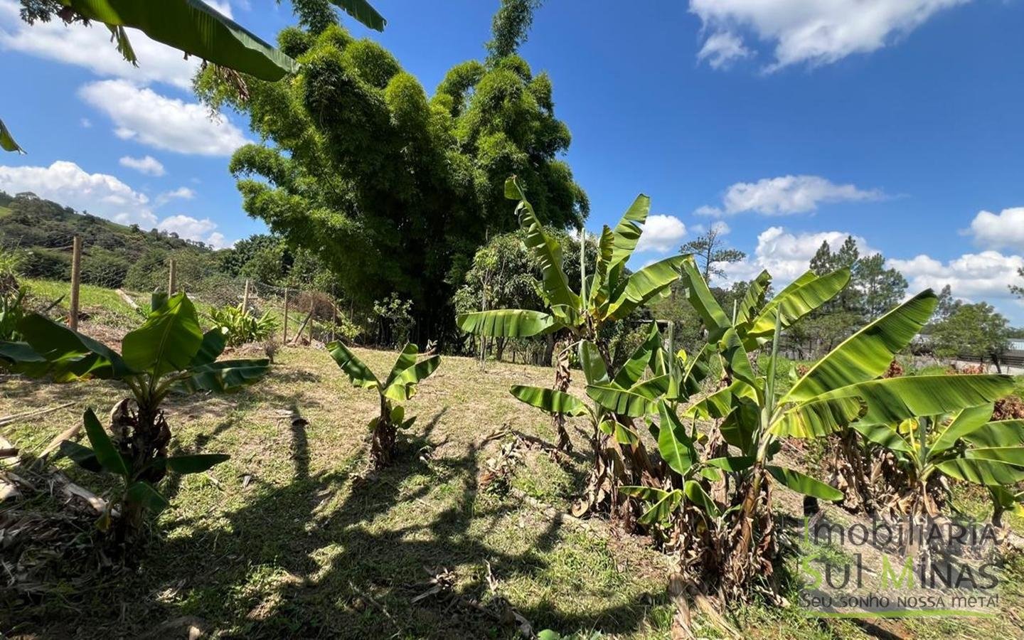 Chácara com 4.500m2, acesso asfaltado, À Venda em Cambuí cod2400 (1)