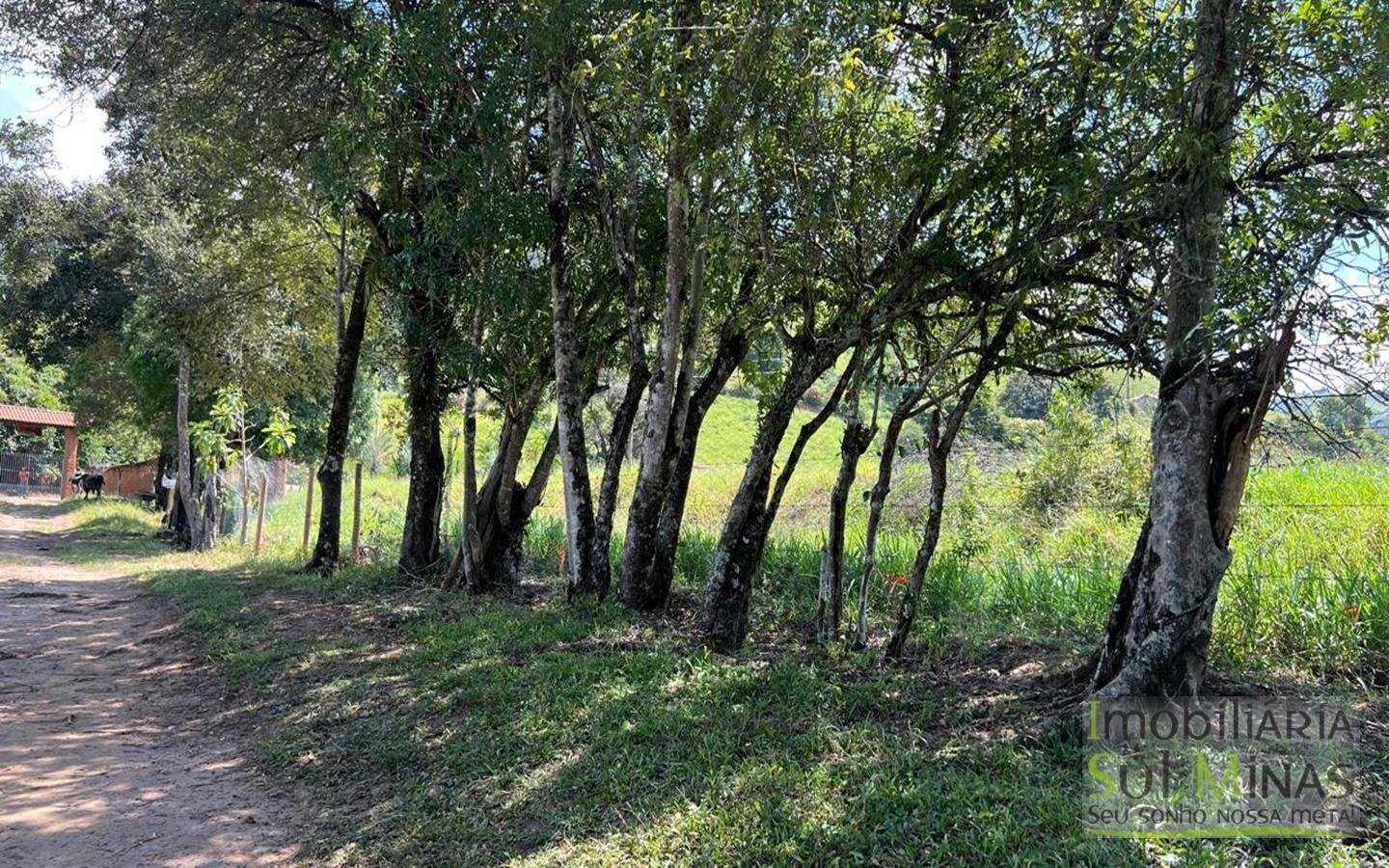 Chácara com 4.500m2, acesso asfaltado, À Venda em Cambuí cod2400 (17)