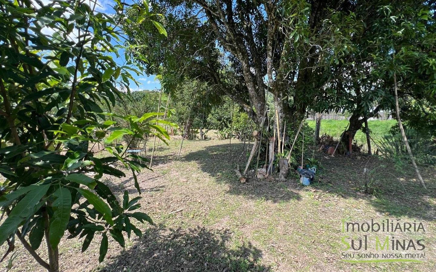 Chácara com 4.500m2, acesso asfaltado, À Venda em Cambuí cod2400 (29)