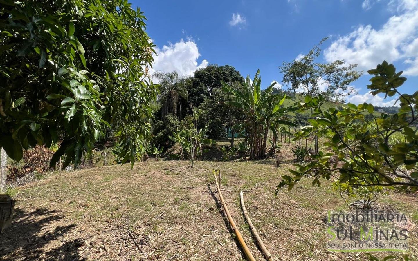 Chácara com 4.500m2, acesso asfaltado, À Venda em Cambuí cod2400 (3)