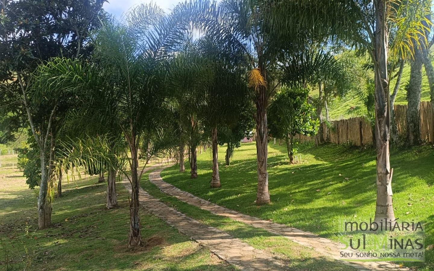 Chácara de 5800m² com lago a 7km do centro de Cambuí MG a venda (39) (Copy)