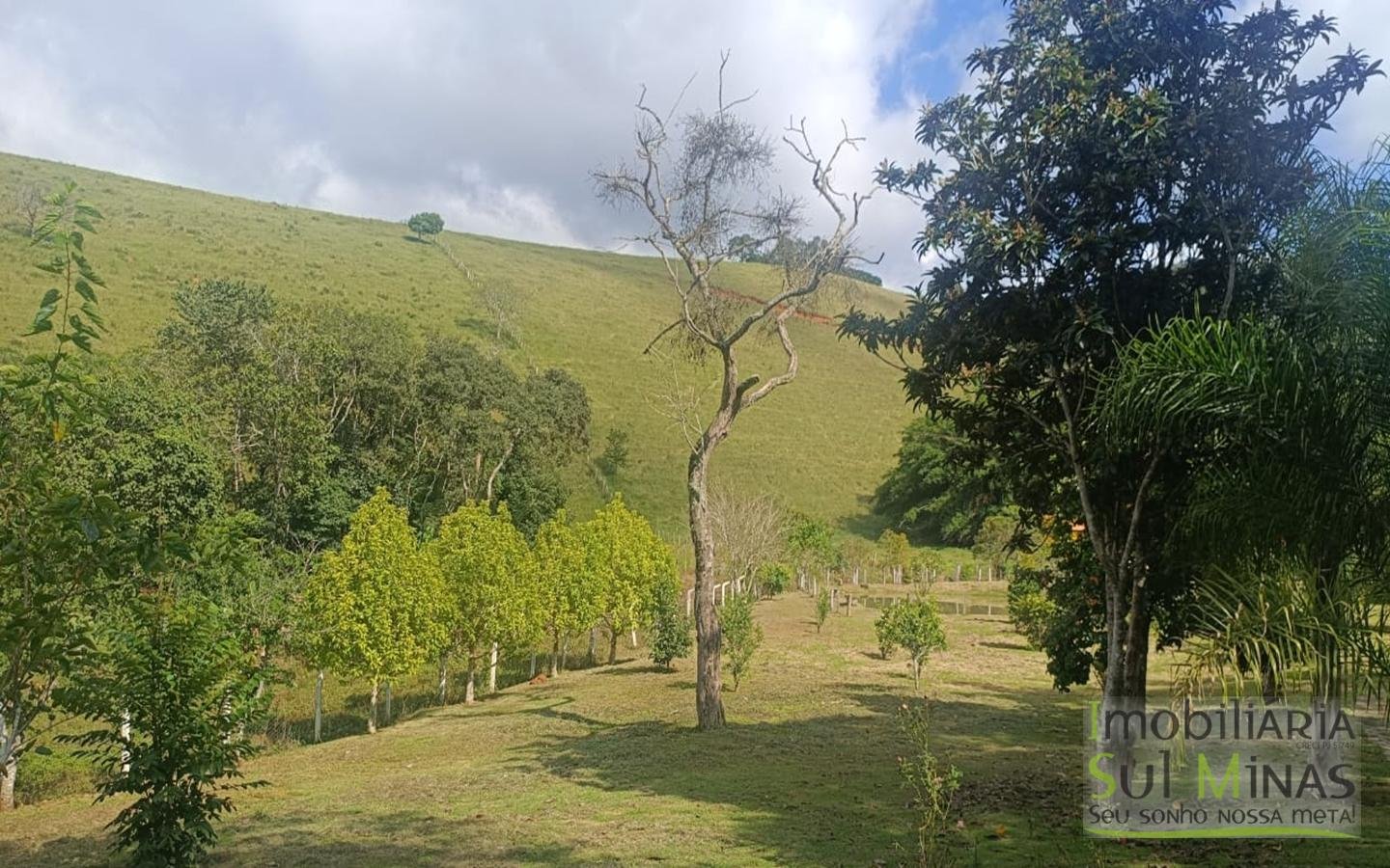 Chácara de 5800m² com lago a 7km do centro de Cambuí MG a venda (40) (Copy)