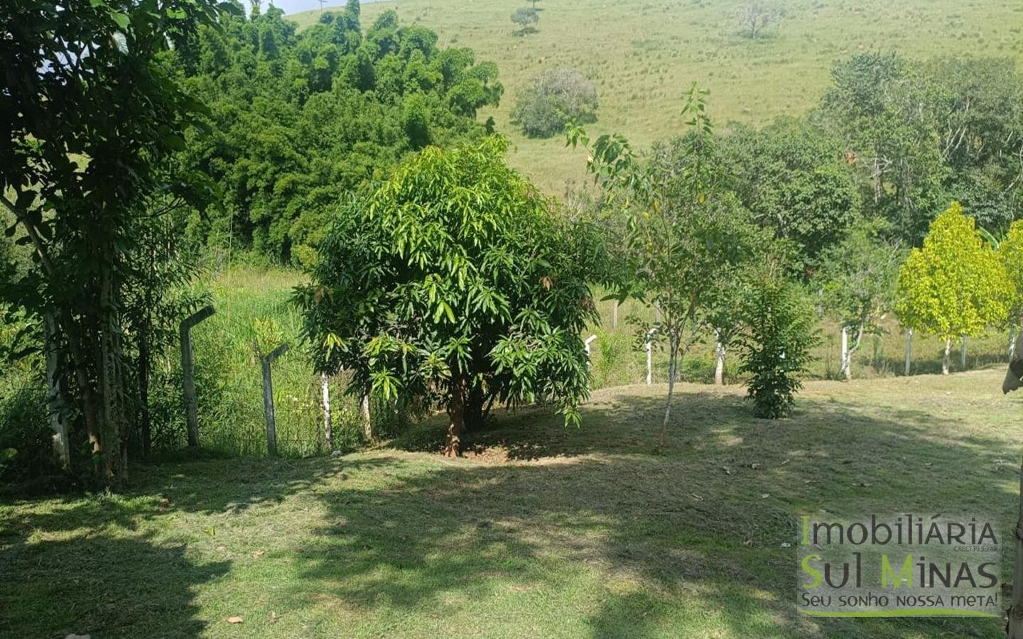 Chácara de 5800m² com lago a 7km do centro de Cambuí MG a venda (44) (Copy)