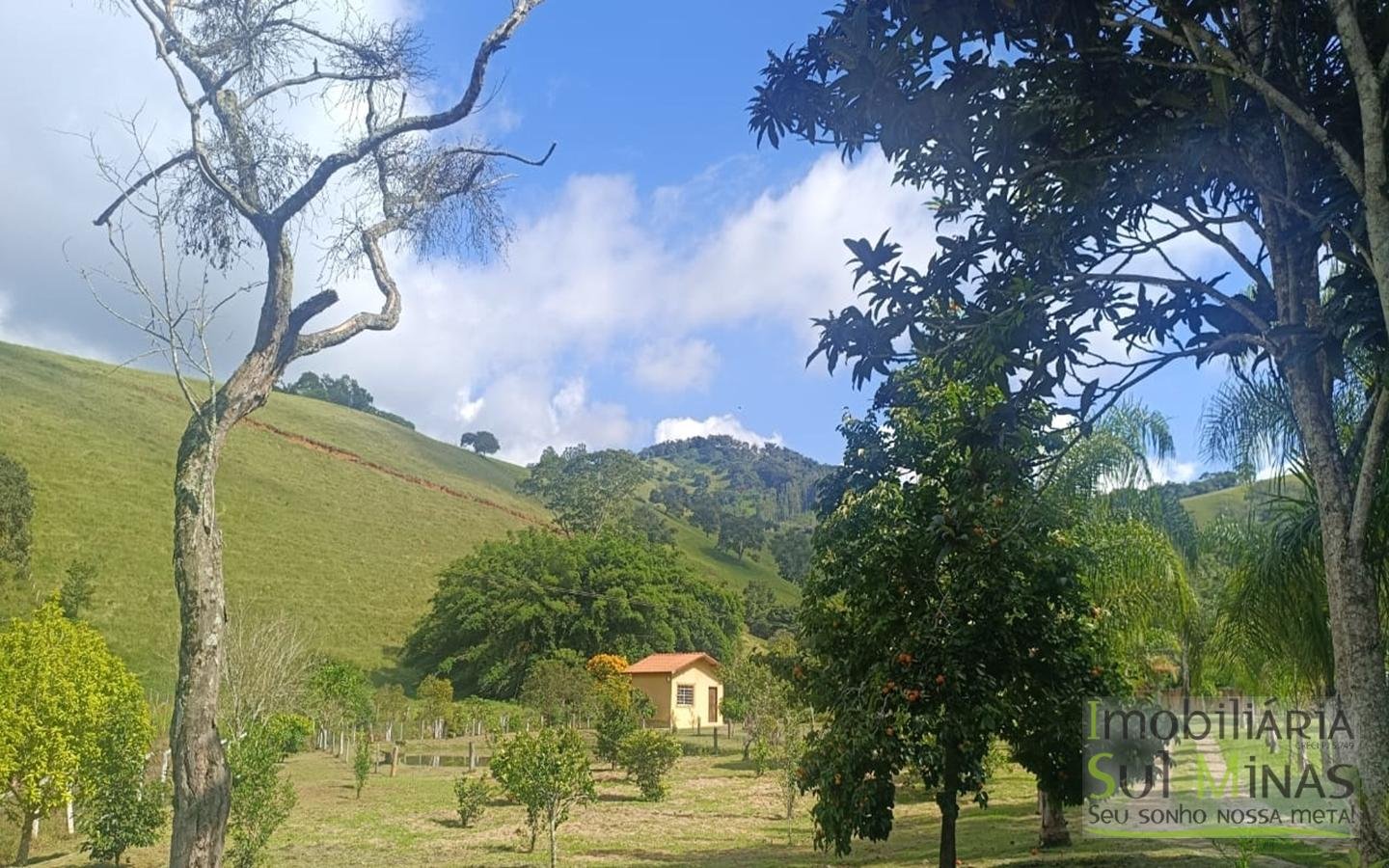 Chácara de 5800m² com lago a 7km do centro de Cambuí MG a venda (45) (Copy)