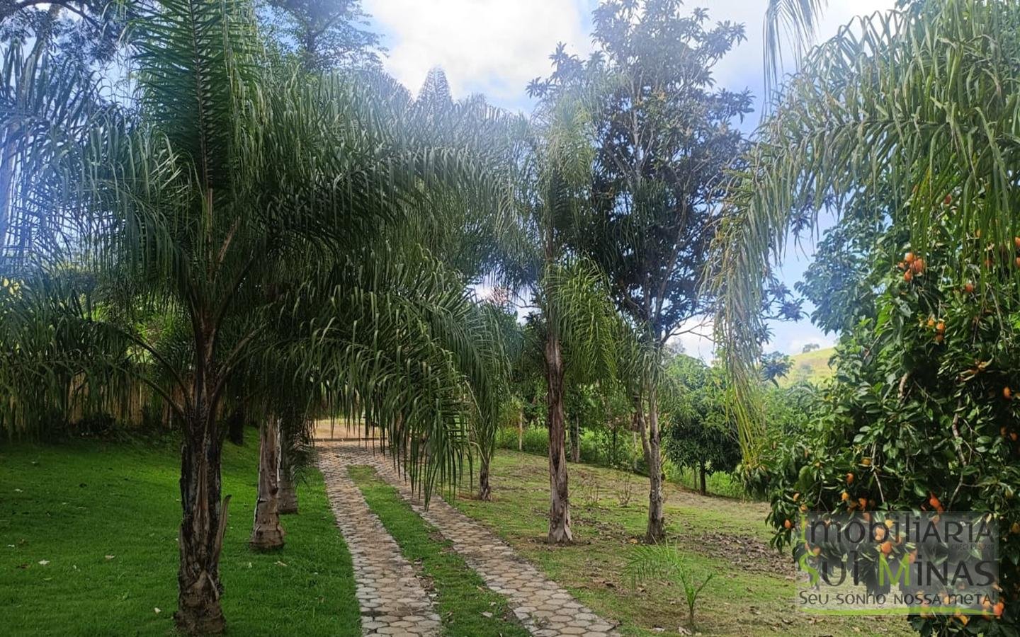 Chácara de 5800m² com lago a 7km do centro de Cambuí MG a venda (46) (Copy)