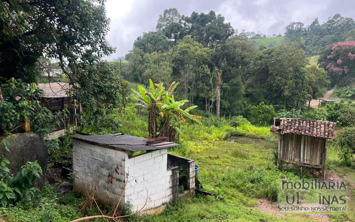 Chácara de 5927m ² a 10km da cidade À Venda em Cambuí MG cod2401 (19)