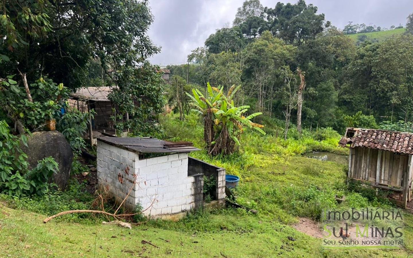 Chácara de 5927m ² a 10km da cidade À Venda em Cambuí MG cod2401 (20)