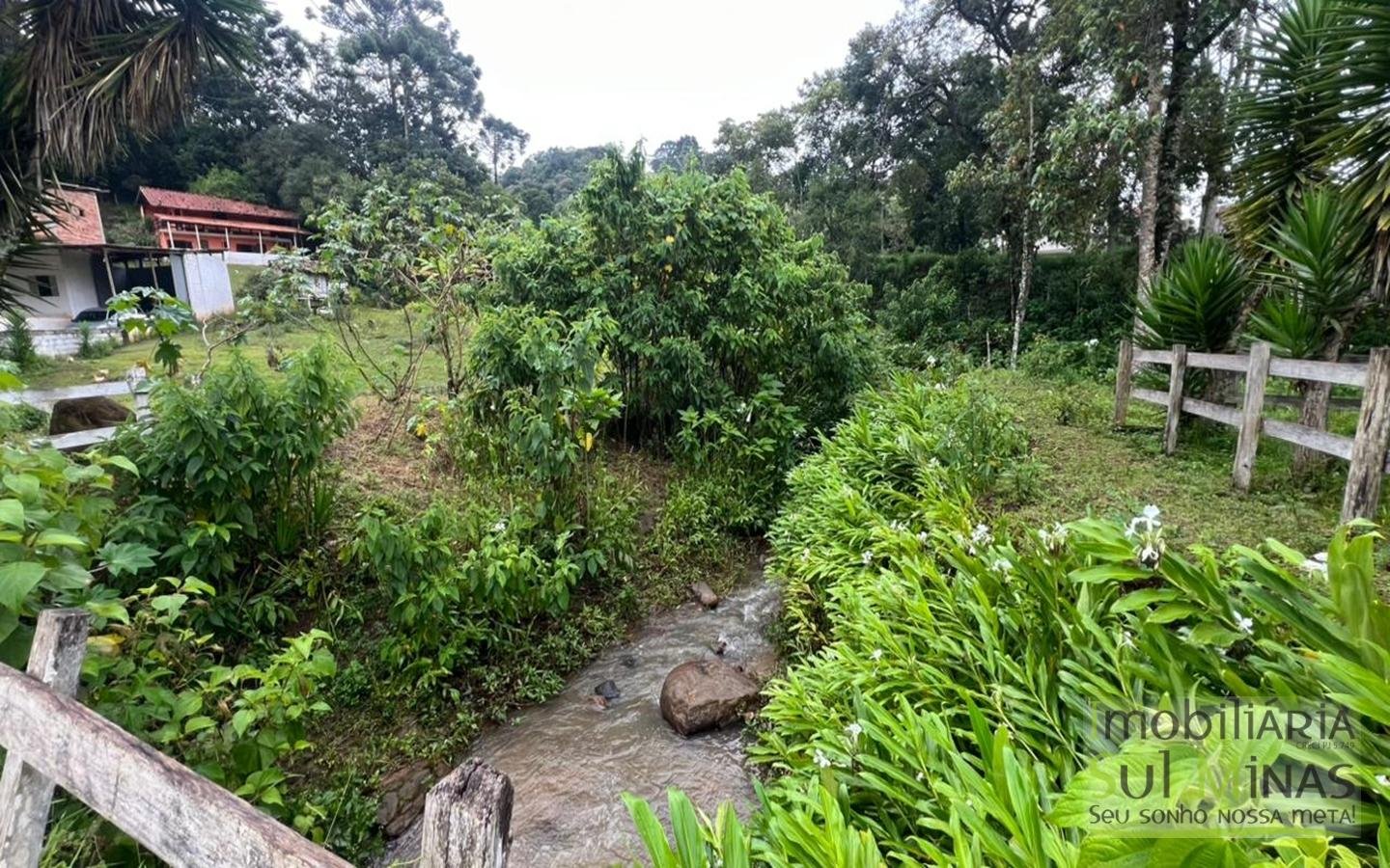 Chácara de 5927m ² a 10km da cidade À Venda em Cambuí MG cod2401 (27)