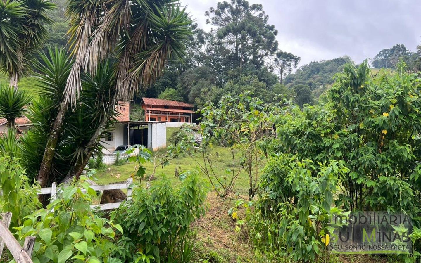 Chácara de 5927m ² a 10km da cidade À Venda em Cambuí MG cod2401 (28)