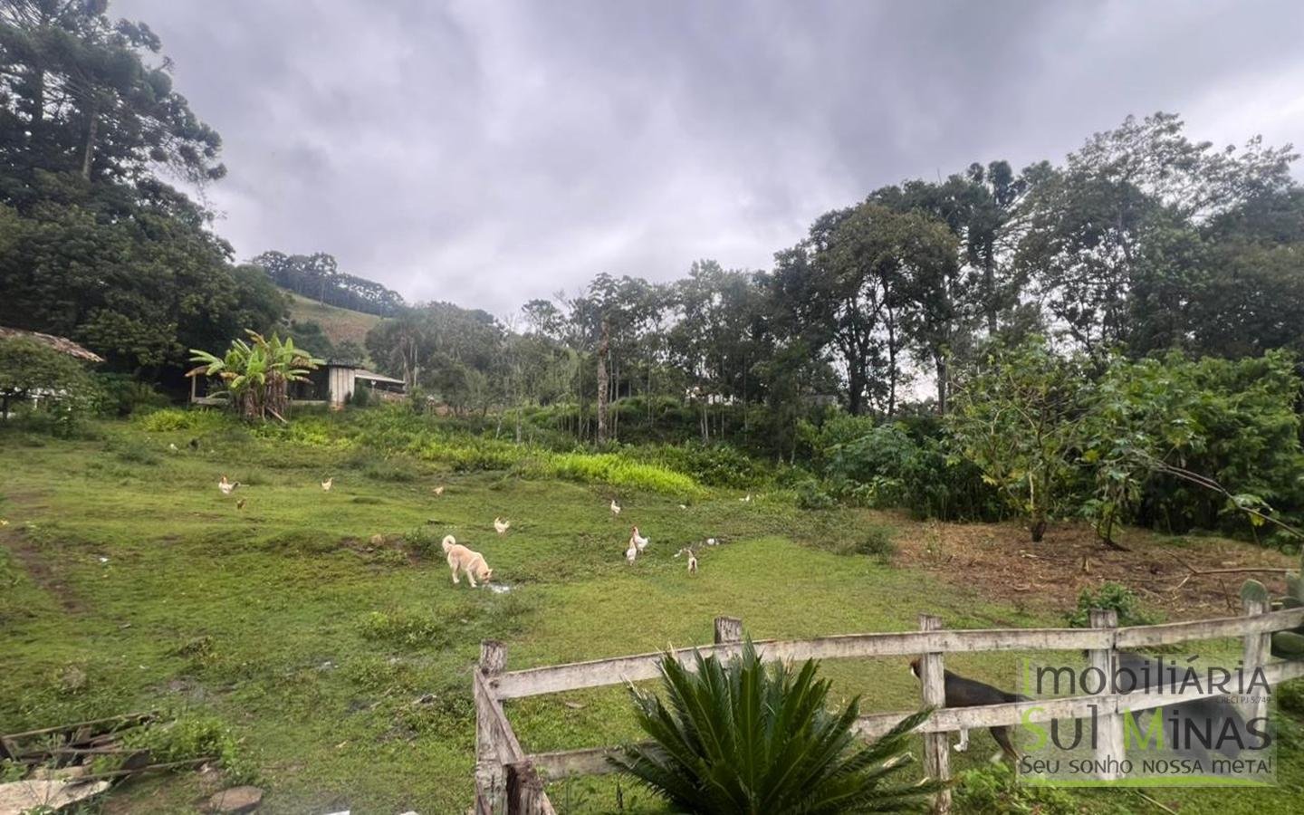 Chácara de 5927m ² a 10km da cidade À Venda em Cambuí MG cod2401 (29)