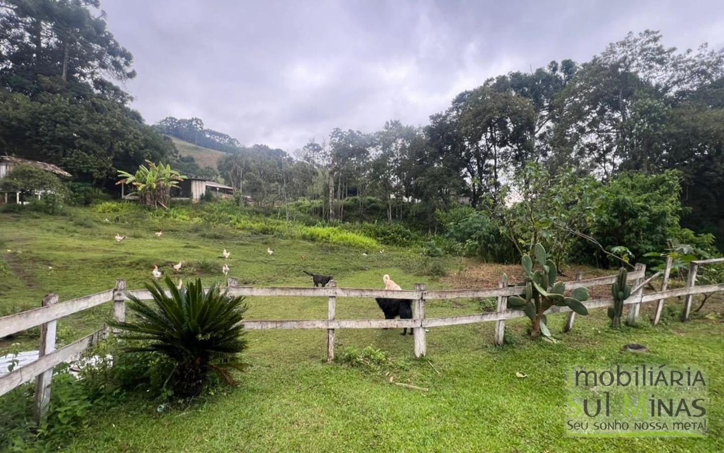 Chácara de 5927m ² a 10km da cidade À Venda em Cambuí MG cod2401 (31)