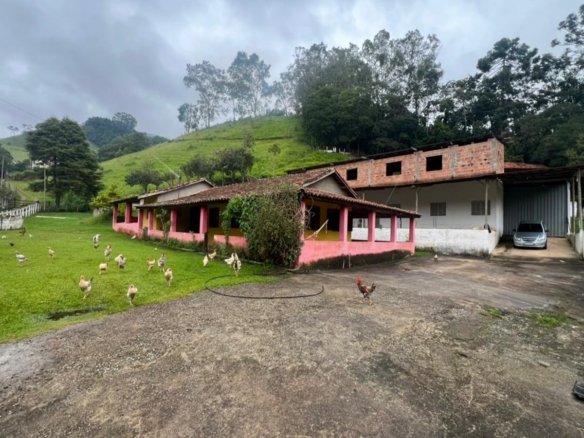 Chácara de 5927m ² a 10km da cidade À Venda em Cambuí MG cod2401 (36)