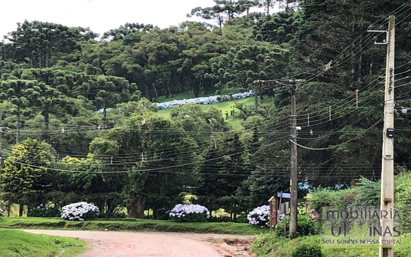 Lindíssima Casa de Inverno a Venda em Monte Verde MG Cod. 1943 (6)
